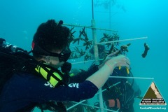SCUBA Challenge - 27 JUNE - Reef Restoration