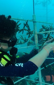 combat-wounded-veteran-scuba-05