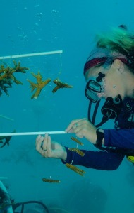 combat-wounded-veteran-scuba-07