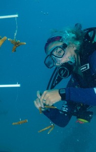 combat-wounded-veteran-scuba-08