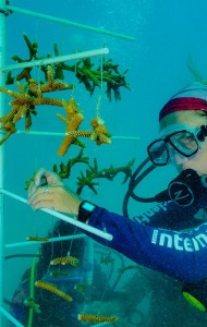 combat-wounded-veteran-scuba-10