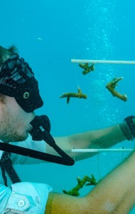combat-wounded-veteran-scuba-11