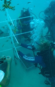 combat-wounded-veteran-scuba-12