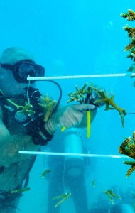 combat-wounded-veteran-scuba-13