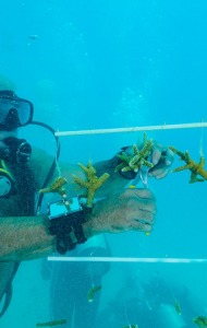 combat-wounded-veteran-scuba-14