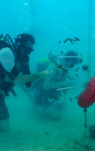 combat-wounded-veteran-scuba-15
