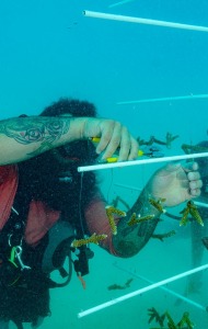 combat-wounded-veteran-scuba-17