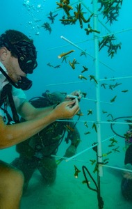 combat-wounded-veteran-scuba-23