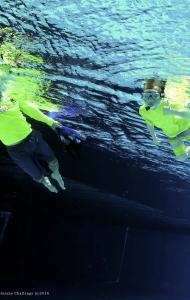 combat-wounded-veteran-challenge-SCUBA-4