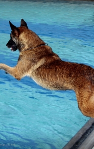combat-wounded-veteran-challenge-SCUBA-Ax