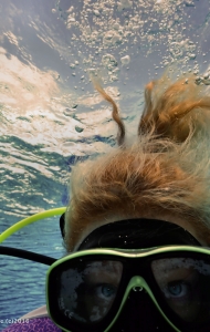 combat-wounded-veteran-challenge-SCUBA-idee