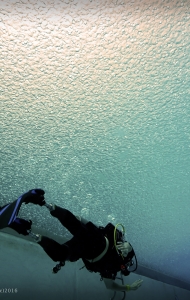combat-wounded-veteran-challenge-SCUBA-pool-reseach-3