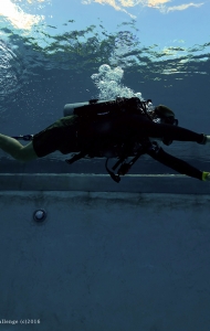 combat-wounded-veteran-challenge-SCUBA-pool-reseach