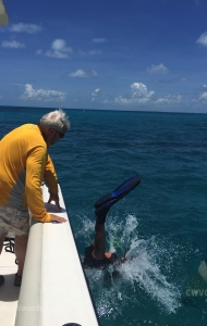 combat-wounded-veteran-challenge-scuba-2017-key-west-checkout-dives-104