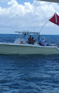 combat-wounded-veteran-challenge-scuba-2017-key-west-checkout-dives-114