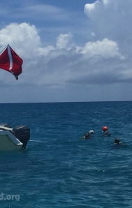 combat-wounded-veteran-challenge-scuba-2017-key-west-checkout-dives-118