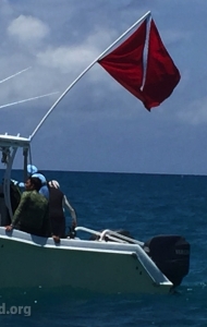 combat-wounded-veteran-challenge-scuba-2017-key-west-checkout-dives-13