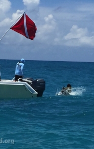 combat-wounded-veteran-challenge-scuba-2017-key-west-checkout-dives-41
