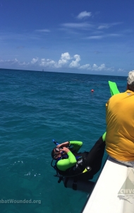 combat-wounded-veteran-challenge-scuba-2017-key-west-checkout-dives-79
