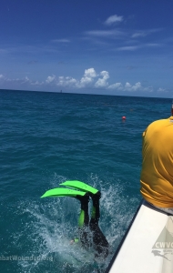 combat-wounded-veteran-challenge-scuba-2017-key-west-checkout-dives-80