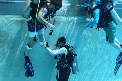 SCUBA Challenge 2017 - Orthotics and Prosthetics Research