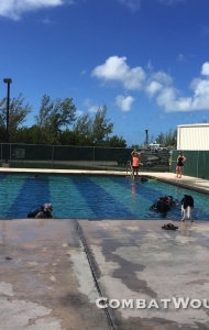 combat-wounded-veteran-challenge-key-west-SCUBA-orthotics-prosthetics-research-14