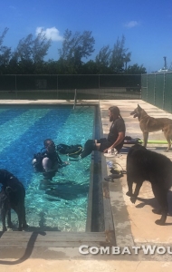 combat-wounded-veteran-challenge-key-west-SCUBA-orthotics-prosthetics-research-18