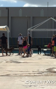 combat-wounded-veteran-challenge-key-west-SCUBA-orthotics-prosthetics-research-2