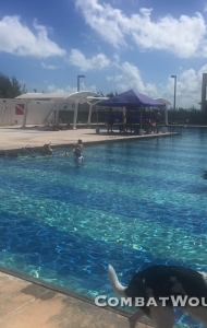 combat-wounded-veteran-challenge-key-west-SCUBA-orthotics-prosthetics-research-22