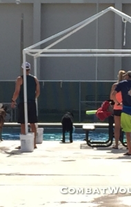 combat-wounded-veteran-challenge-key-west-SCUBA-orthotics-prosthetics-research-3