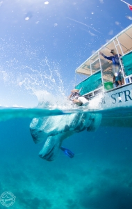 CWVC SCUBAnaut Coral Planting