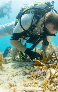 CWVC SCUBAnaut Coral Planting