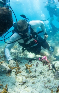 CWVC SCUBAnaut Coral Planting