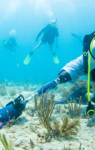 CWVC SCUBAnaut Coral Planting