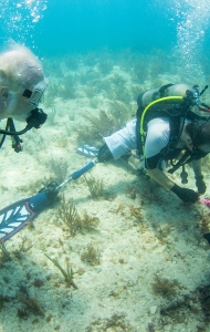 CWVC SCUBAnaut Coral Planting