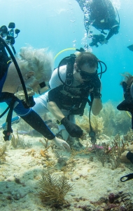 CWVC SCUBAnaut Coral Planting