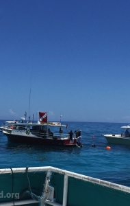 combat-wounded-veteran-challenge-scuba-2017-reef-restoration-media-13
