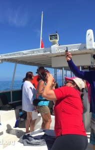combat-wounded-veteran-challenge-scuba-2017-reef-restoration-media-26