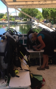 combat-wounded-veteran-challenge-scuba-2017-reef-restoration-media-3