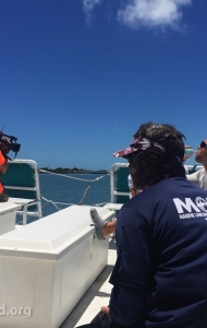 combat-wounded-veteran-challenge-scuba-2017-reef-restoration-media-4