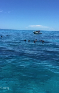 combat-wounded-veteran-challenge-scuba-2017-reef-restoration-media-5