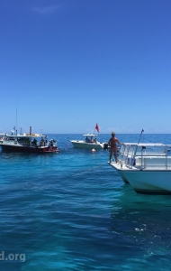 combat-wounded-veteran-challenge-scuba-2017-reef-restoration-media-7