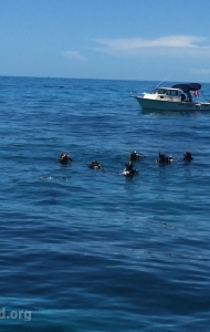 combat-wounded-veteran-challenge-scuba-2017-reef-restoration-media-9