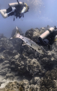 combat-wounded-veteran-scuba-challenge-03