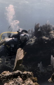 combat-wounded-veteran-scuba-challenge-10