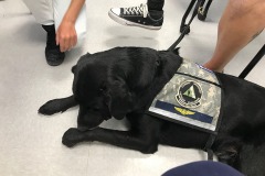 SCUBA Challenge 2018 - 06-26