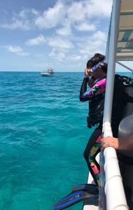 combat-wounded-scuba-research-trip-06-26-reef-restoration-19