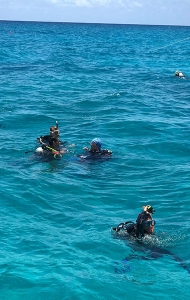 combat-wounded-scuba-research-trip-06-26-reef-restoration-25