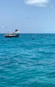 combat-wounded-scuba-research-trip-06-26-reef-restoration-28