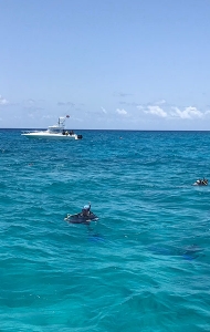 combat-wounded-scuba-research-trip-06-26-reef-restoration-32